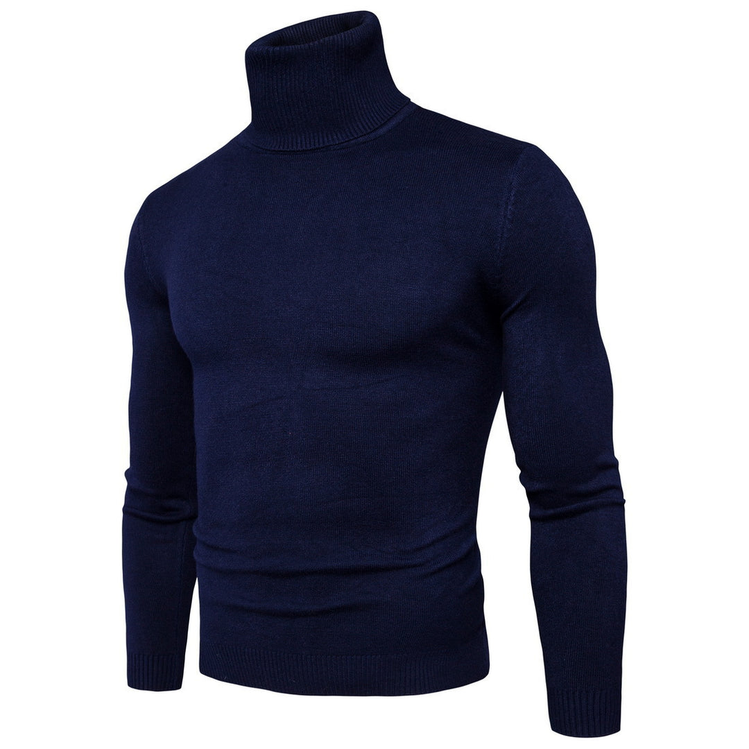 Herren Rollkragenpullover aus feiner Merinowolle EB