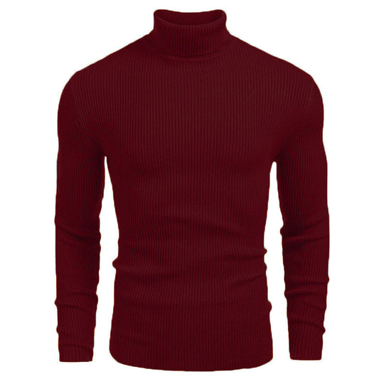 Herren eleganter Rollkragenpullover aus ribbed Strick EB