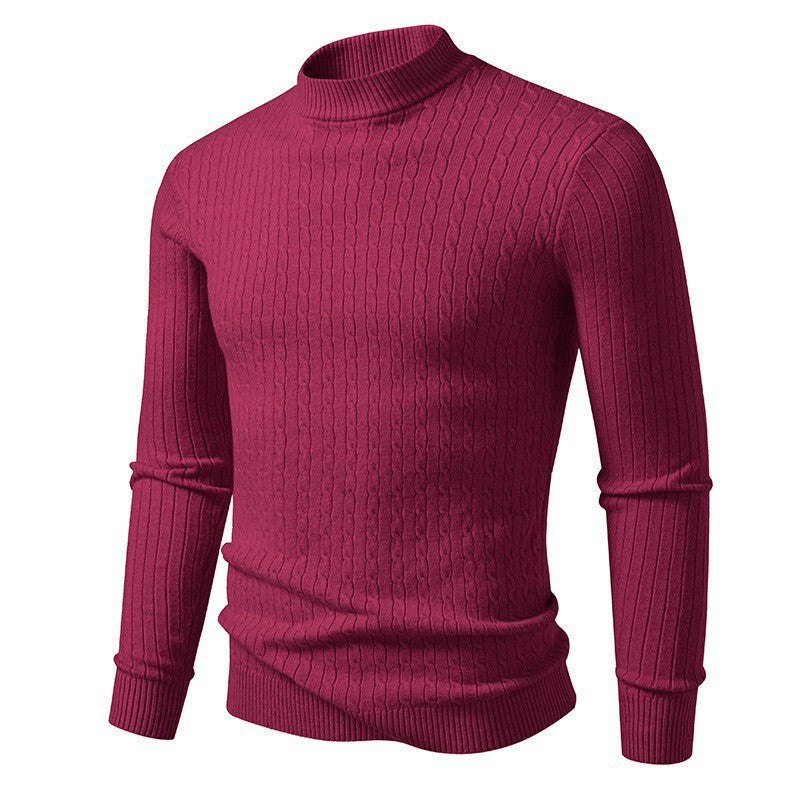 Herren Rollkragenpullover aus strukturiertem Strick EB