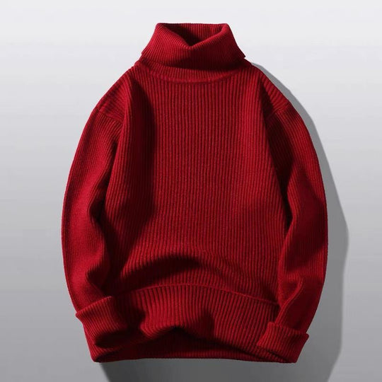 Damen modischer Rollkragenpullover aus weichem Strick EB