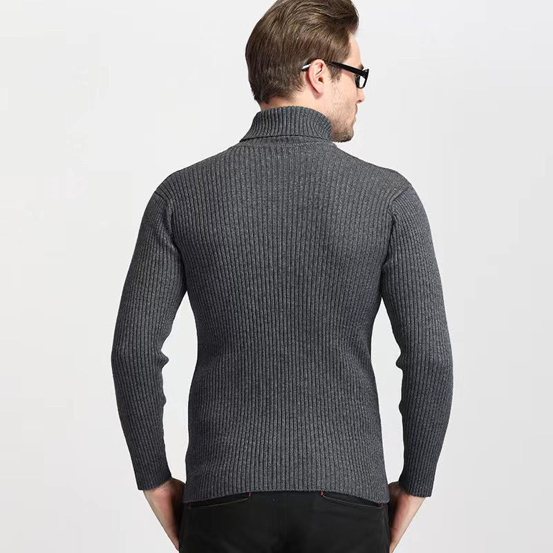 Herren Rollkragenpullover aus feiner Baumwolle mit strukturiertem Design EB