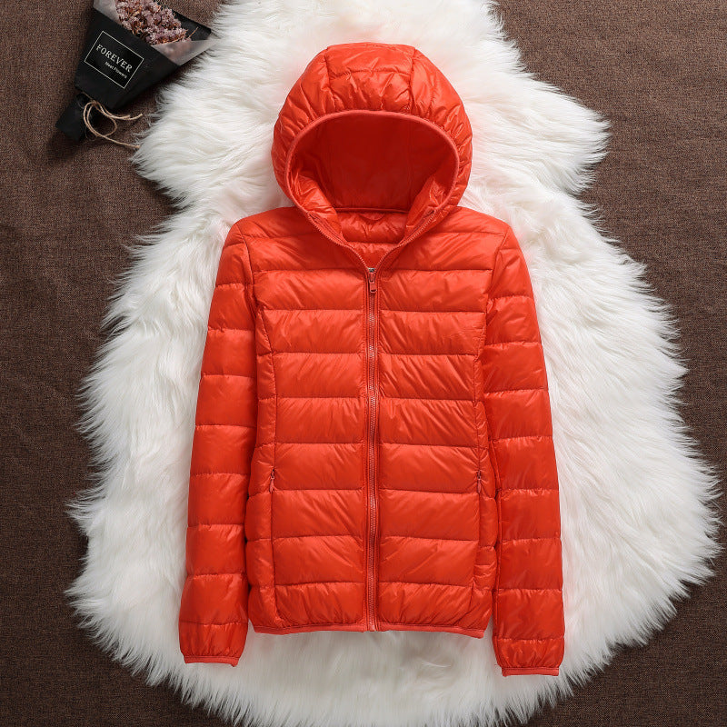 EB | Klassisch Himmelblaue Jacke