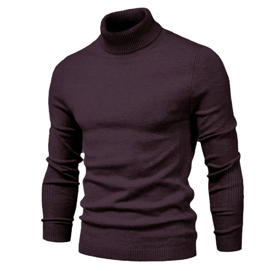 Herren Rollkragenpullover aus feinster Wolle EB