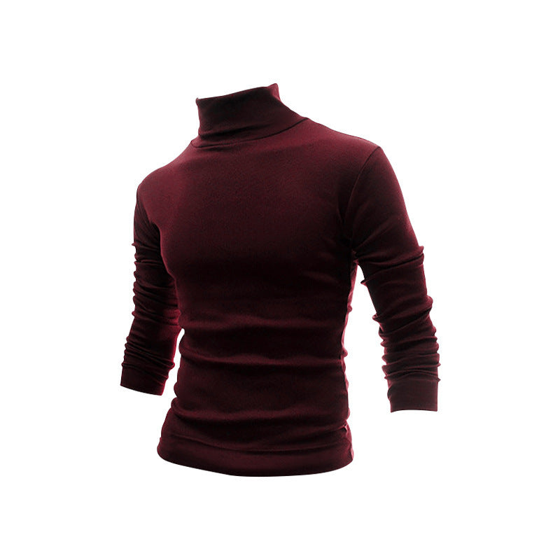 Herren Schmal geschnittenes Rollkragen-Feinstrickshirt mit Stretchkomfort EB