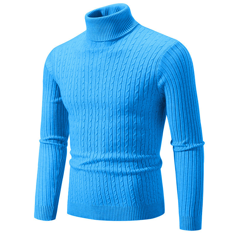 Herren Rollkragenpullover mit strukturiertem Strickmuster EB