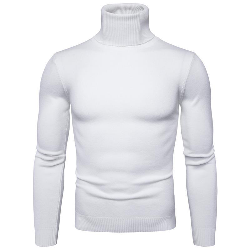 Herren Rollkragenpullover aus feiner Merinowolle EB