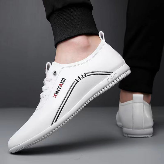 Herren elegante Schnürschuhe EB