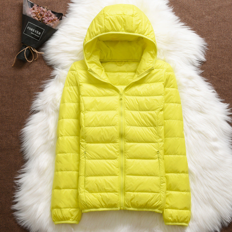 EB | Klassisch Himmelblaue Jacke