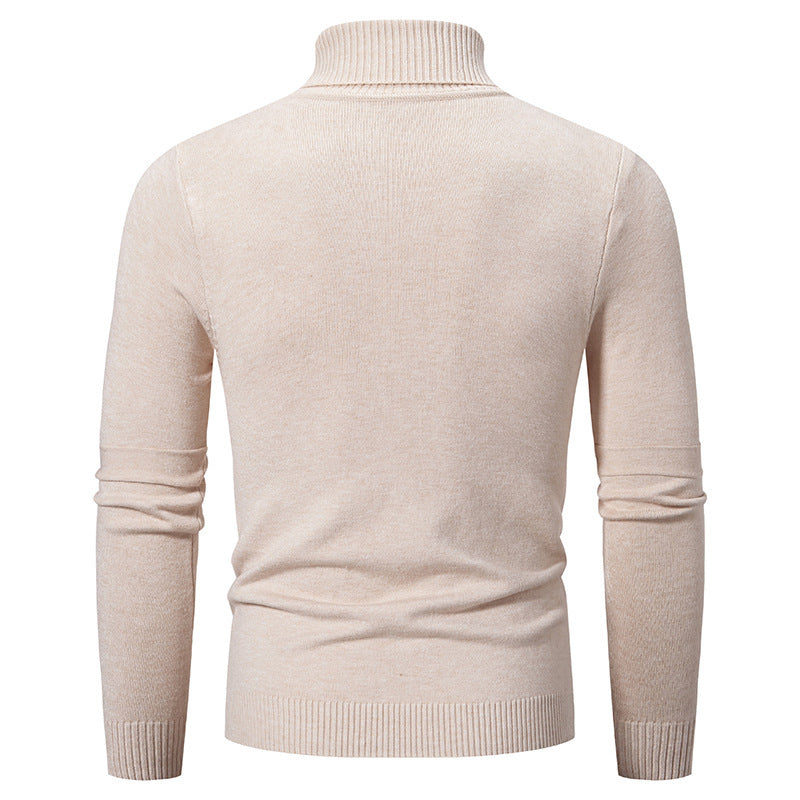 Herren eleganter Rollkragenpullover mit modernem Zopfmuster EB
