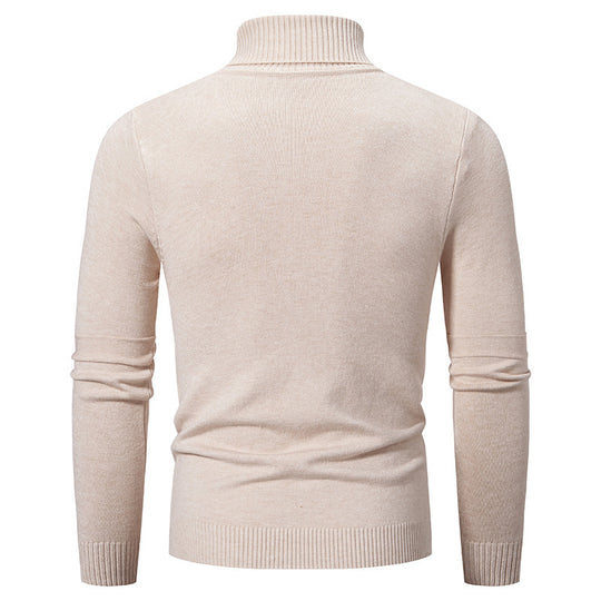 Herren nan feiner Rollkragenpullover mit Strukturnähten, slim-fit und geripptem Bündchen EB