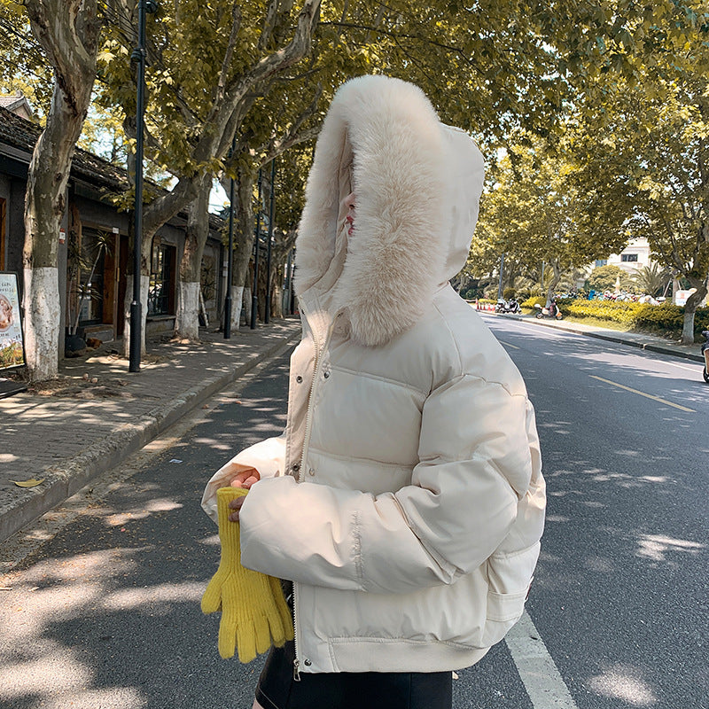 Damen Modische und wärmende Pufferjacke mit luxuriösem Kunstpelzkragen EB