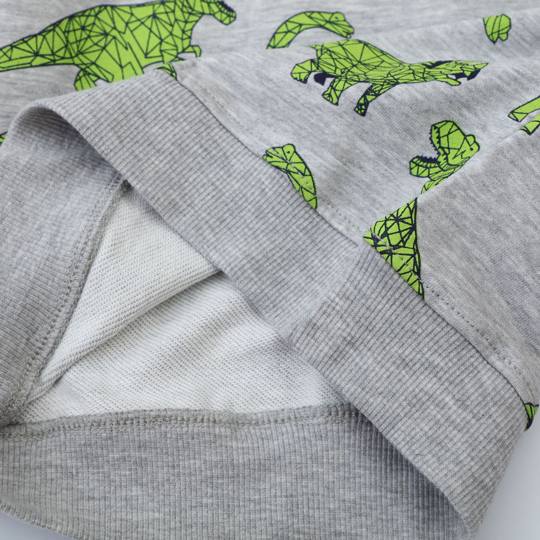 Kinder Sweatshirt mit kreativem Dinosaurier-Muster EB