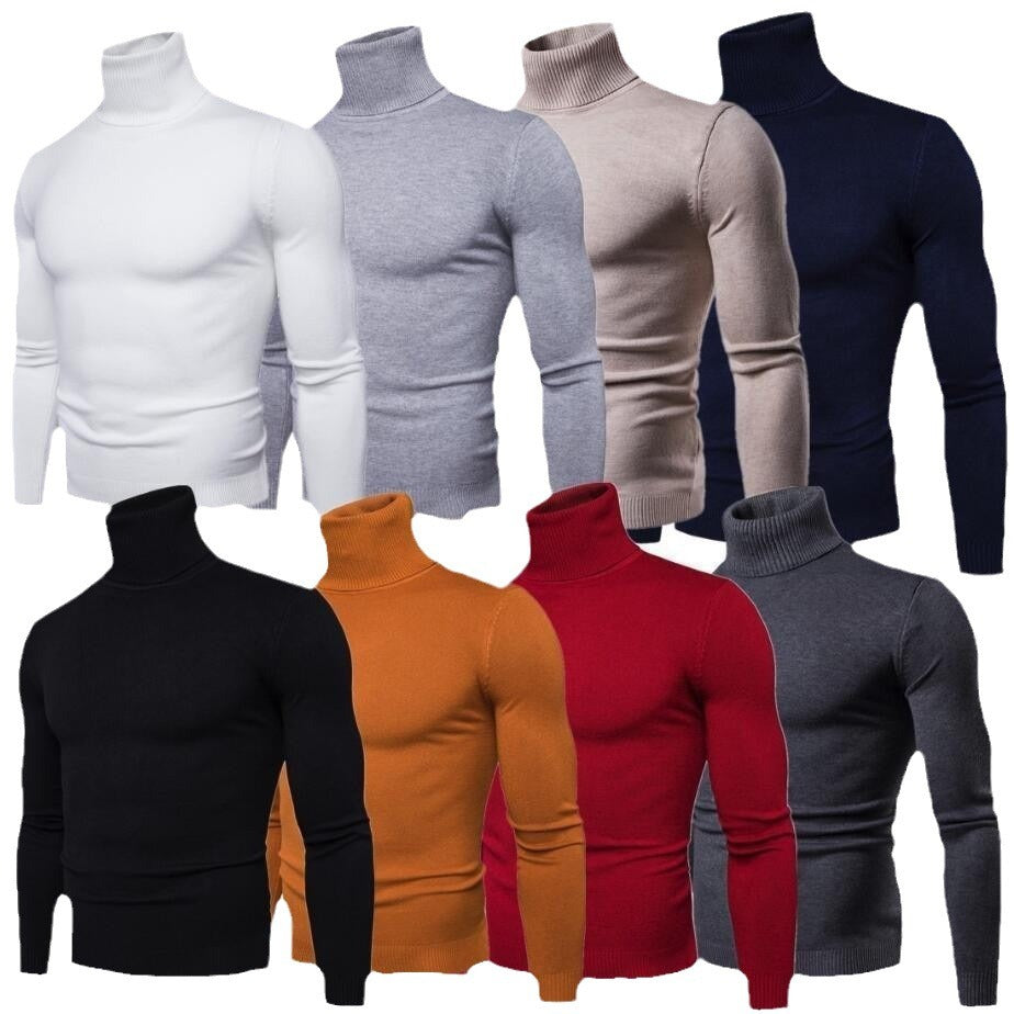Herren figurbetonter Pullover mit Rollkragen EB
