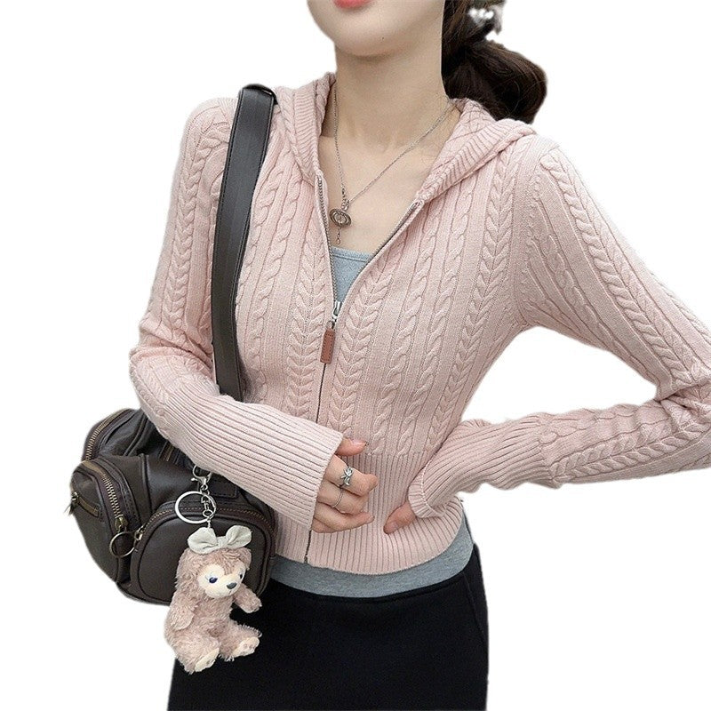 Damen modischer Strickpullover mit Kapuze und Zopfmuster EB