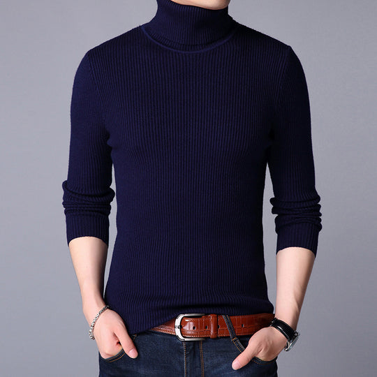 Herren Feinstrickpullover EB
