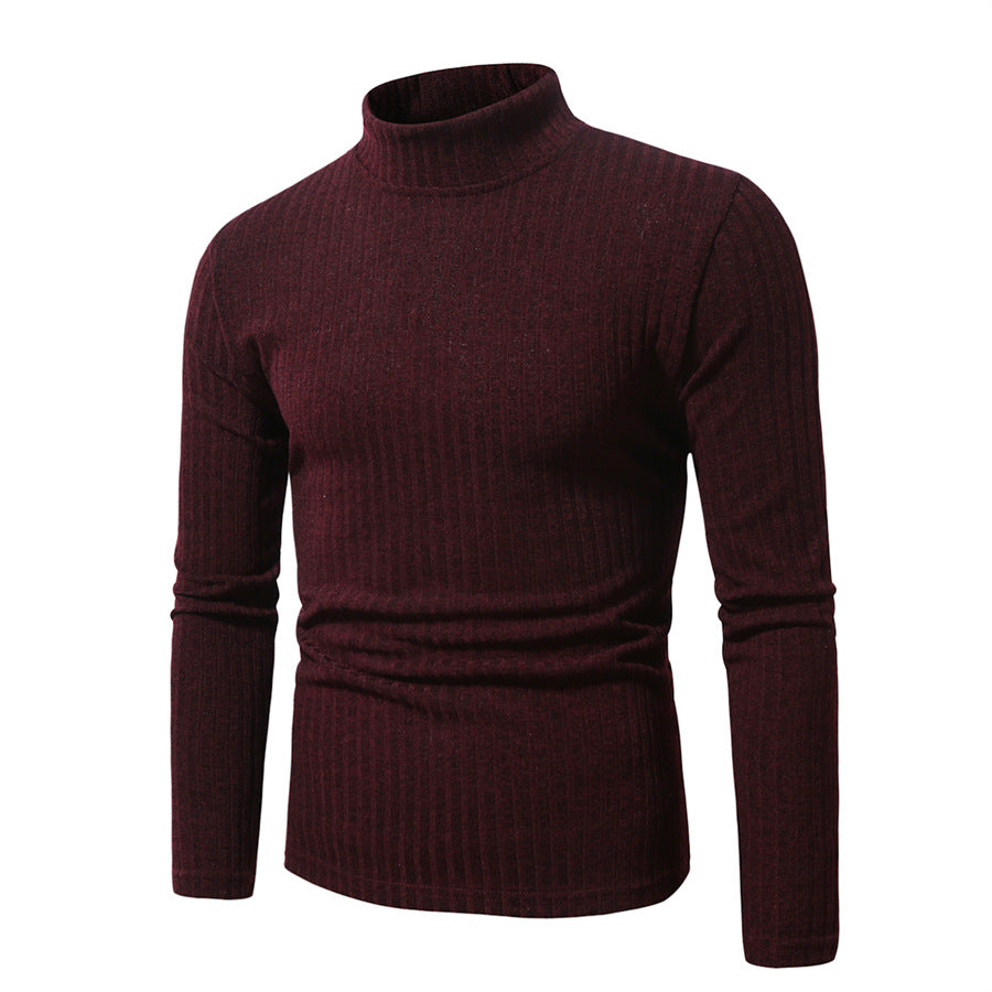 Herren feinstrickender Rollkragenpullover EB