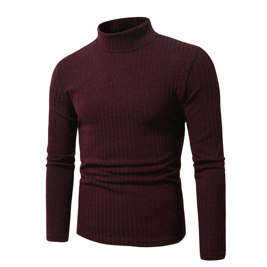 Herren feinstrickender Rollkragenpullover EB