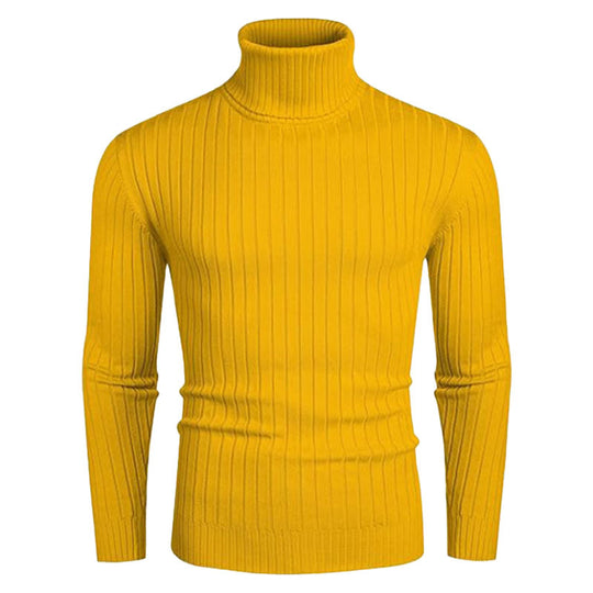 Herren Rollkragenpullover aus elastischem Strickmaterial mit feinem Rippendesign EB