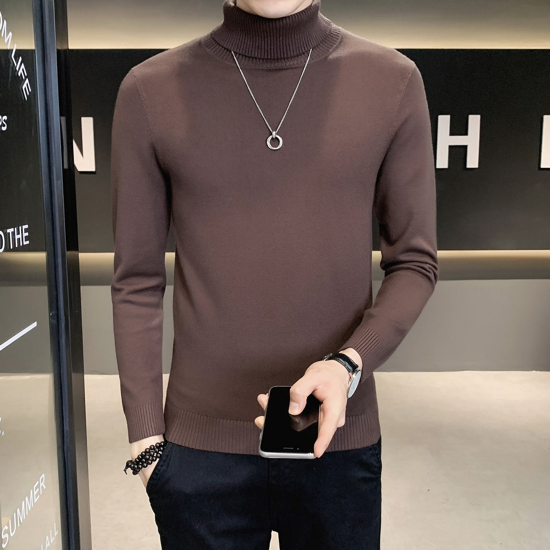 Herren Pullover mit hohem Kragen aus weicher Strickware EB