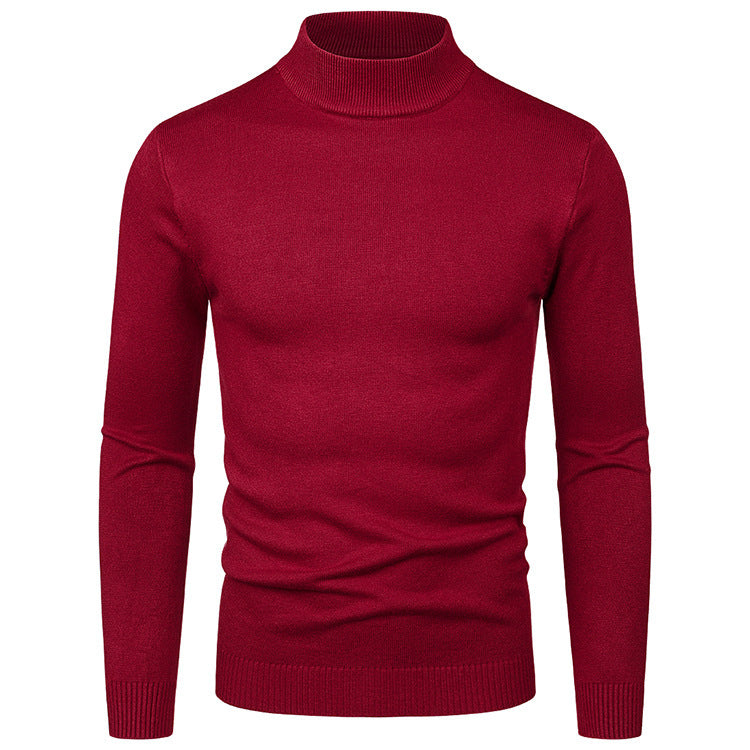 Herren Rollkragenpullover aus hochwertiger Wolle EB