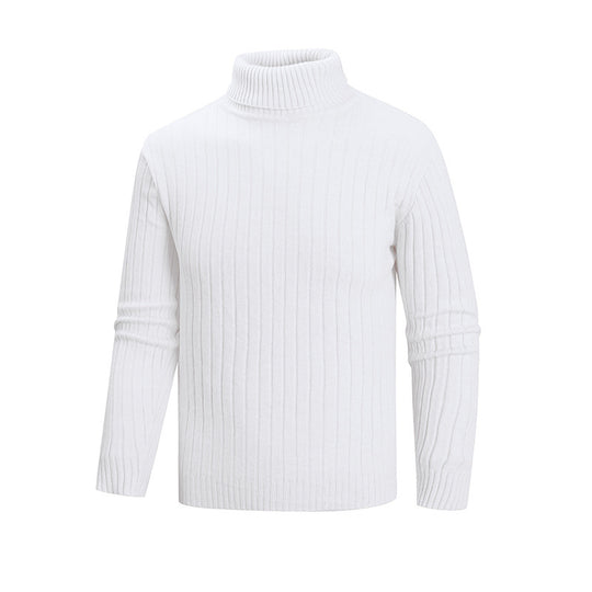 Herren Strickpullover mit Stehkragen EB
