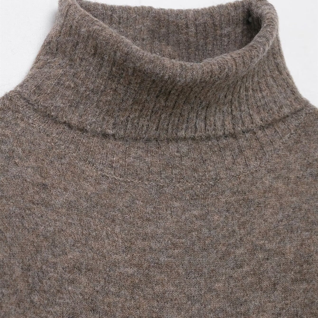 Damen Strickkleid mit kurzem Arm und hochgeschlossenem Kragen EB