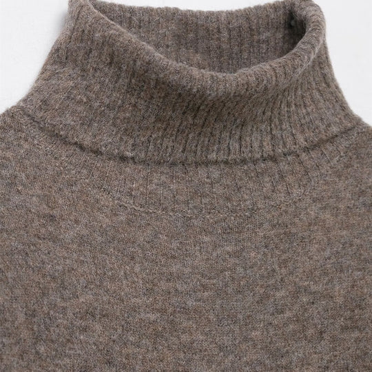 Damen Strickkleid mit kurzem Arm und hochgeschlossenem Kragen EB