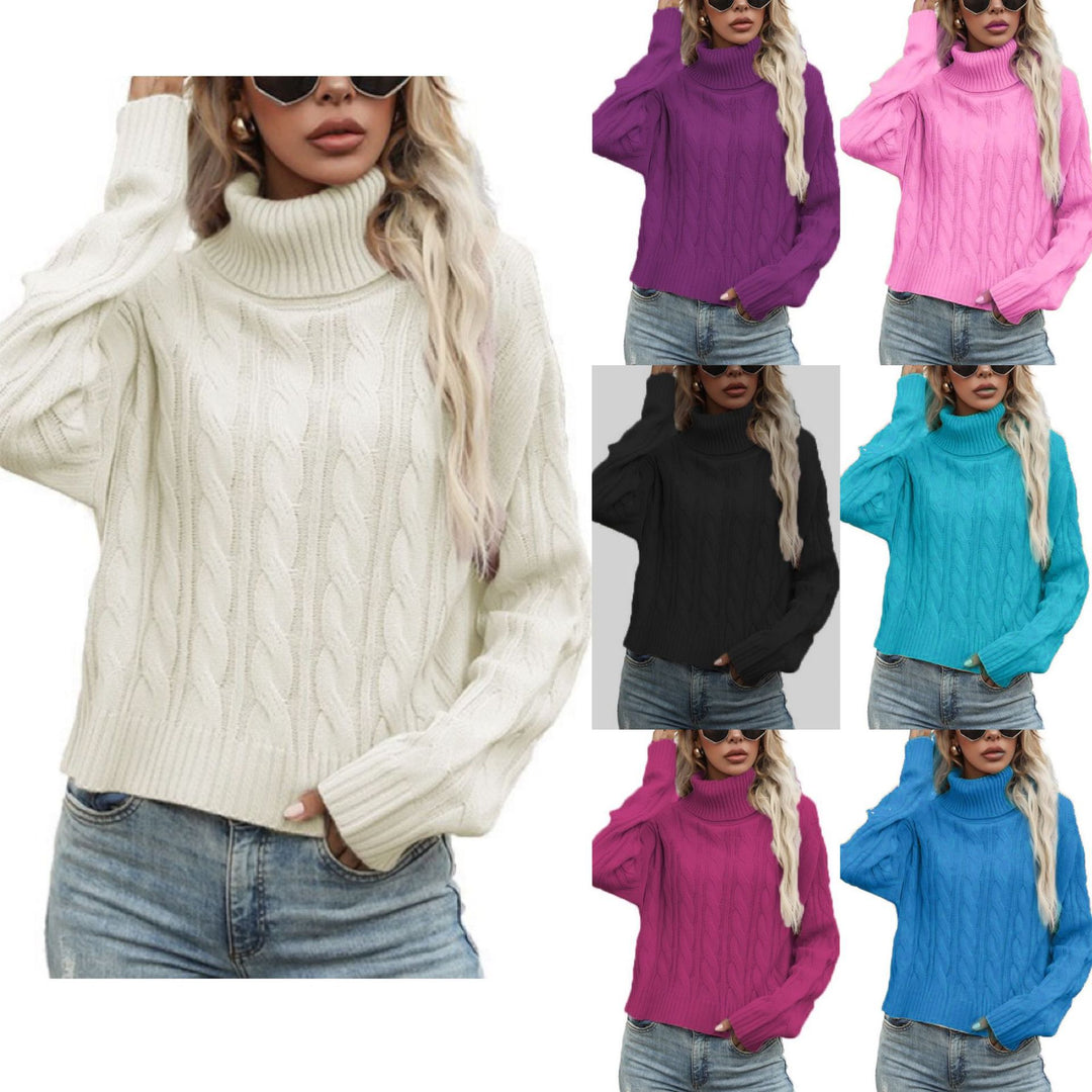 Damen Rollkragenpullover mit strukturiertem Zopfmuster und lässigem Schnitt EB