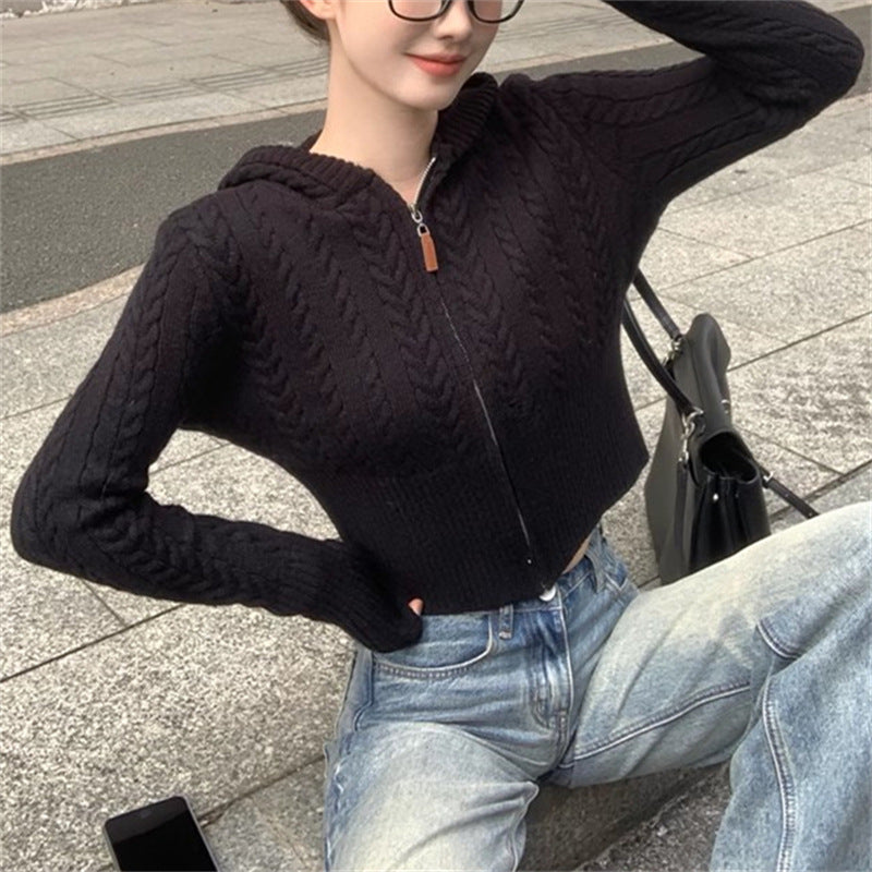 Damen modischer Strickpullover mit Kapuze und Zopfmuster EB
