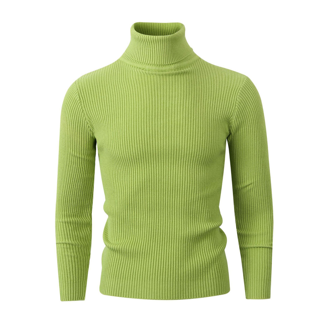 Damen modischer Rollkragenpullover aus weichem Strick EB