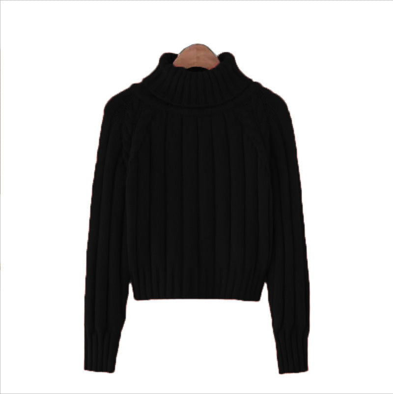 Damen Strickpullover mit hohem Kragen und Rippstruktur EB