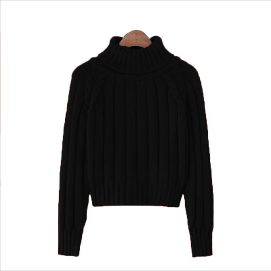 Damen Strickpullover mit hohem Kragen und Rippstruktur EB