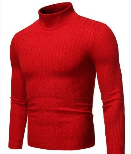 Herren nan gerippter Rollkragenpullover mit Zopfmuster und körpernaher Slim-Fit-Silhouette EB