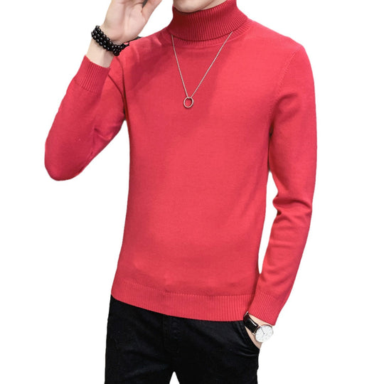 Herren Pullover mit hohem Kragen aus weicher Strickware EB
