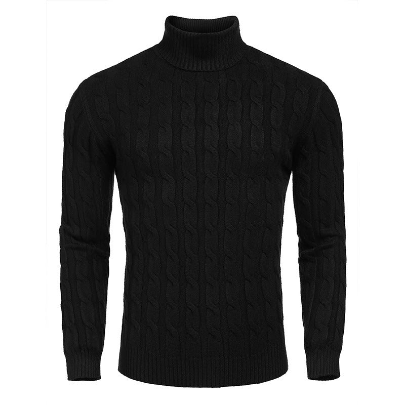 Herren modischer Rollkragenpullover mit Zopfmuster EB