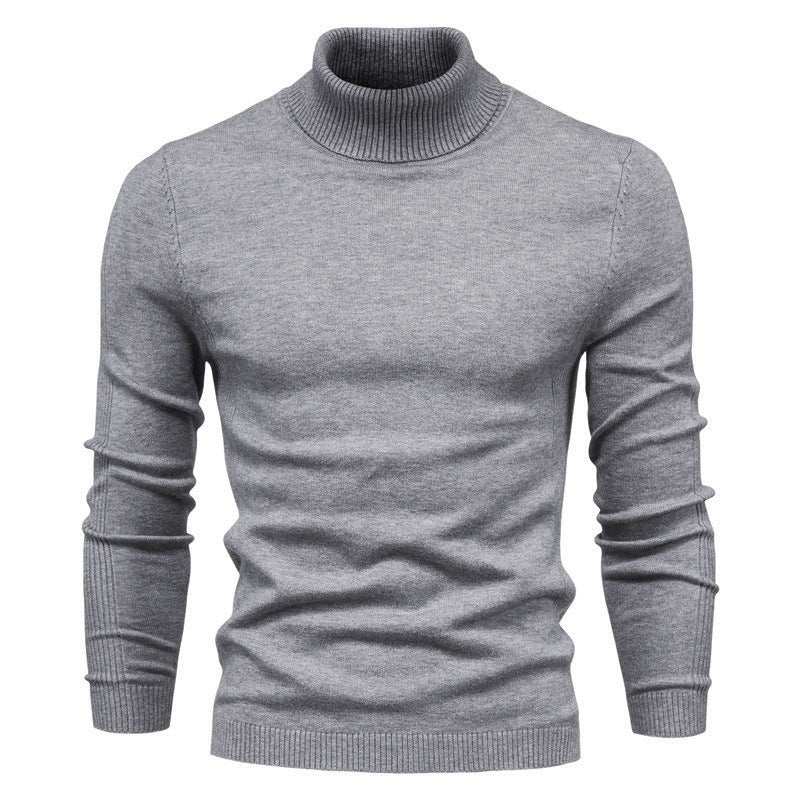 Herren modischer Rollkragenpullover aus feiner Merinowolle EB