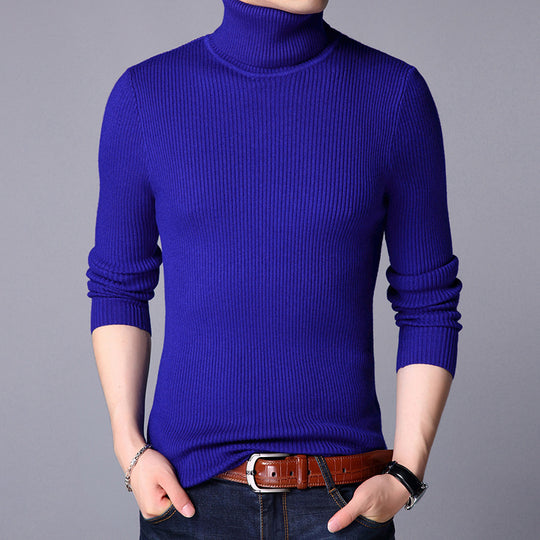 Herren Feinstrickpullover EB