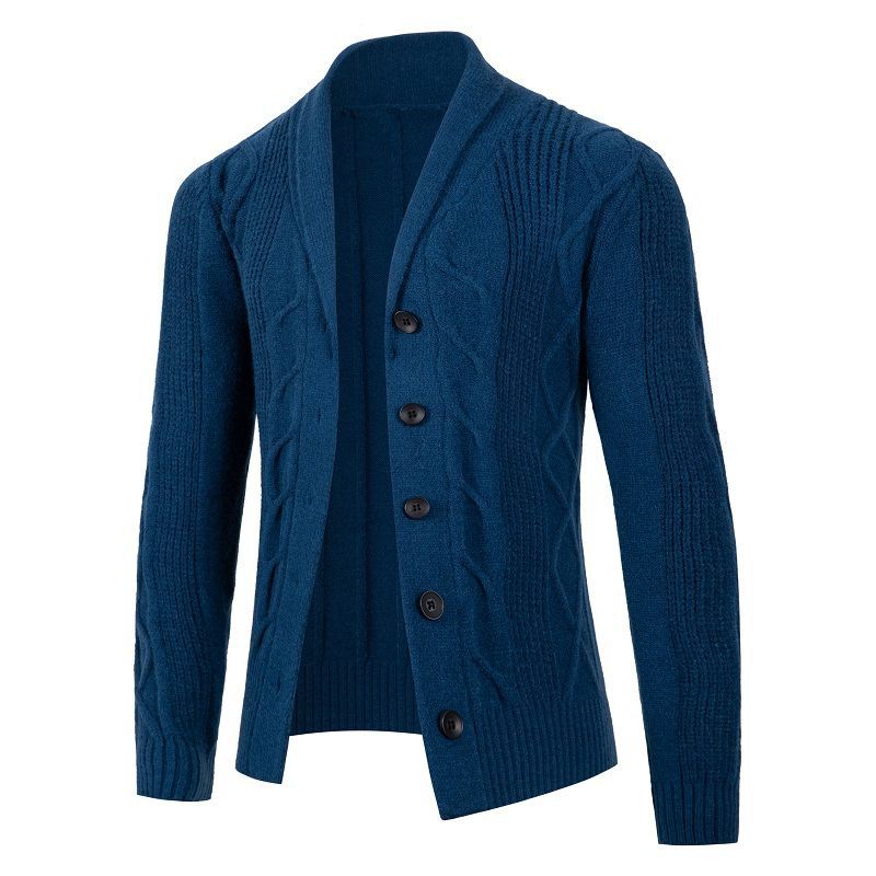 Herren Strickjacke mit modischem Zopfmuster und strukturierter Textur EB