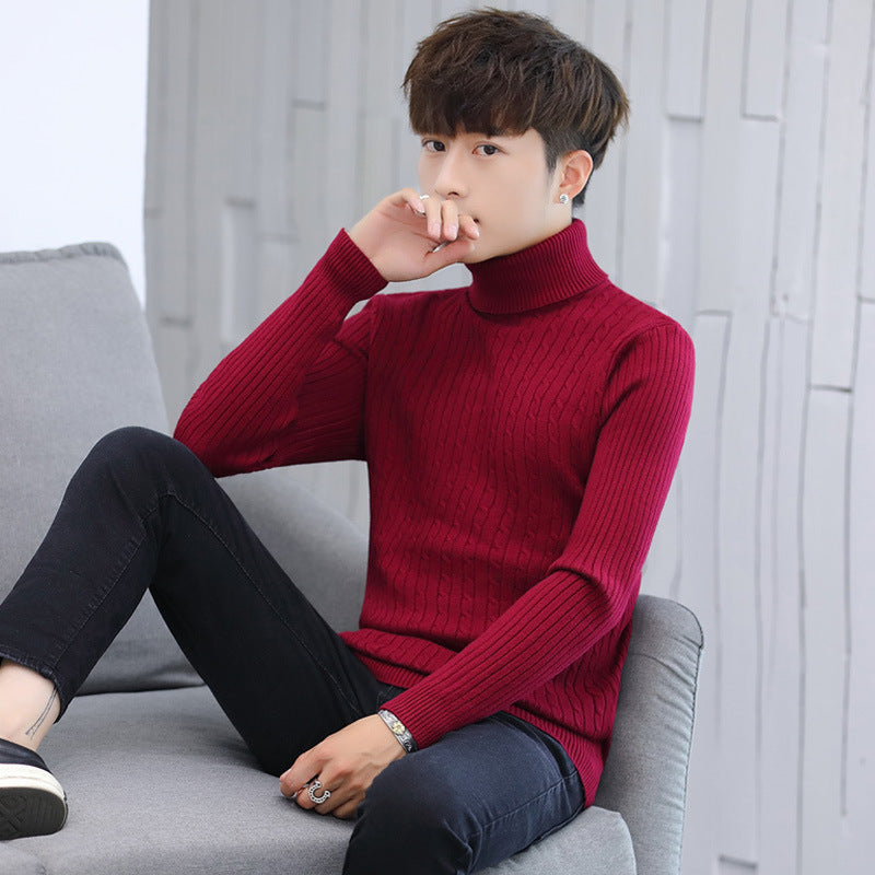 Herren Eleganter Rollkragenpullover mit Rippmuster EB