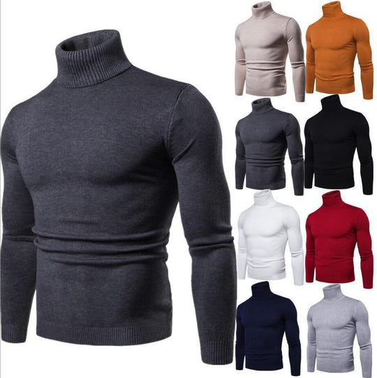 Herren figurbetonter Pullover mit Rollkragen EB