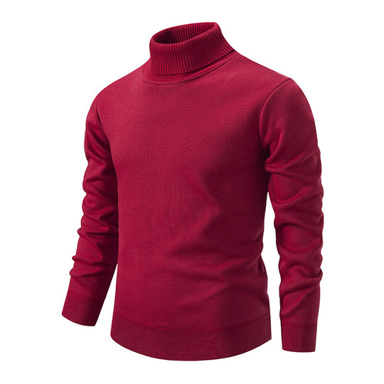 Herren Rollkragenpullover aus weichem Strick mit strukturiertem Design EB