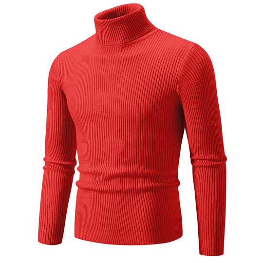 Herren modischer Rollkragenpullover mit feiner Rippstruktur EB