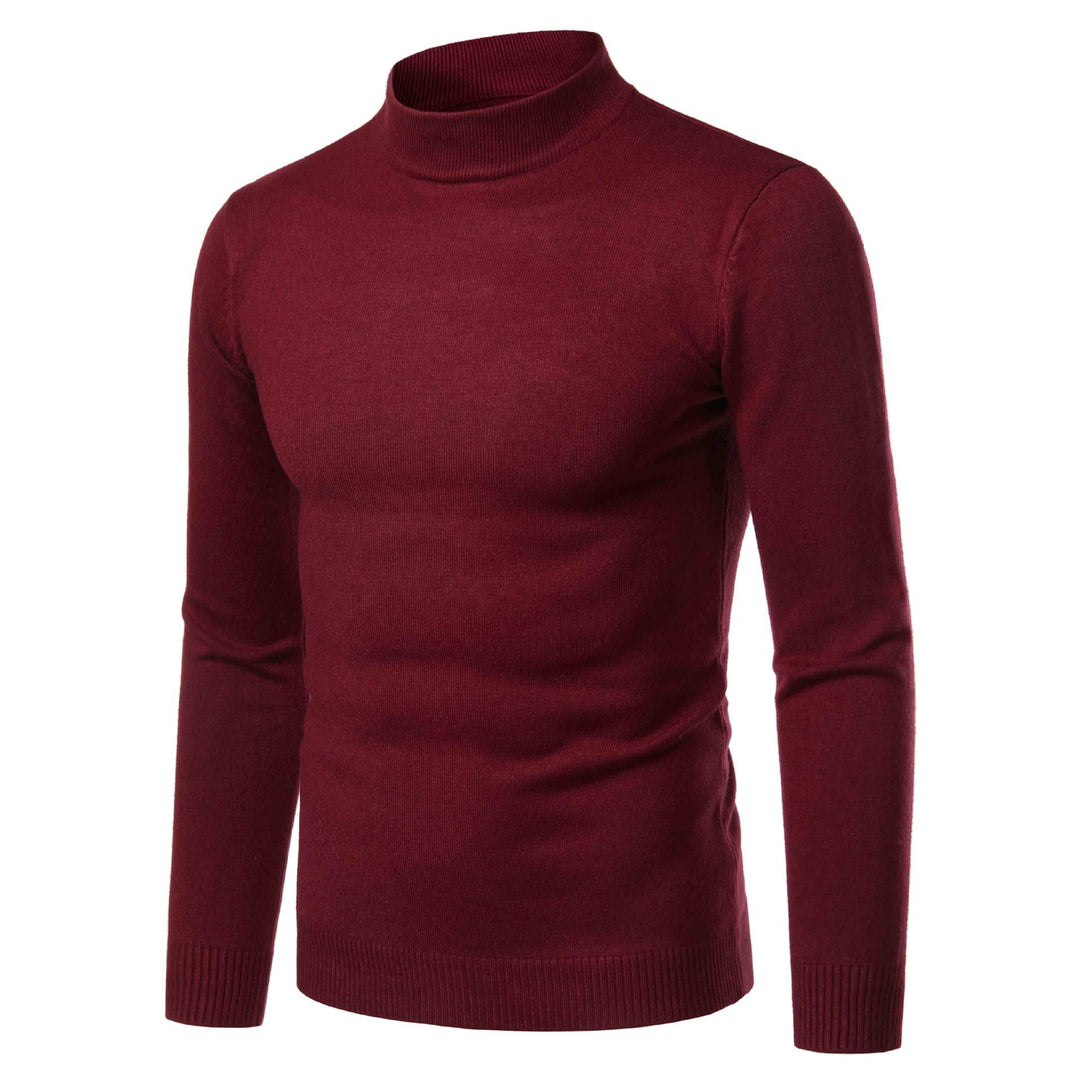 Herren warme Rollkragenpullover aus feinem Strickmaterial EB