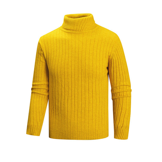 Herren eleganter Pullover mit hohem Kragen und feiner Rippenstruktur EB
