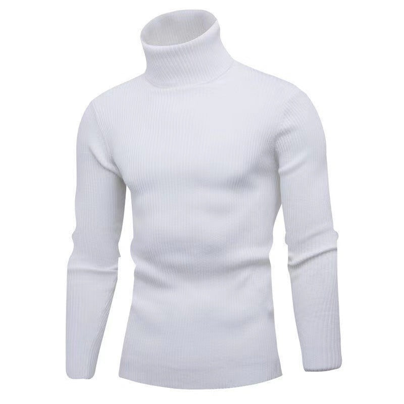 Herren Hochwertiger Rollkragenpullover aus feiner Rippstruktur EB