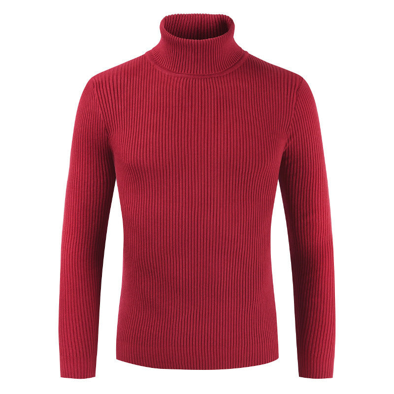 Damen Rollkragenpullover aus gehäkeltem Strick EB