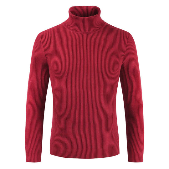Damen Rollkragenpullover aus gehäkeltem Strick EB