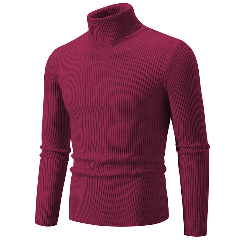 Herren modischer Rollkragenpullover mit feiner Rippstruktur EB
