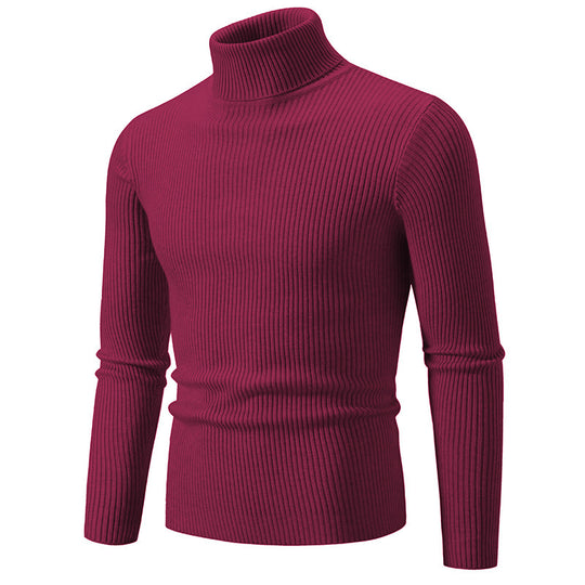 Herren modischer Rollkragenpullover mit feiner Rippstruktur EB