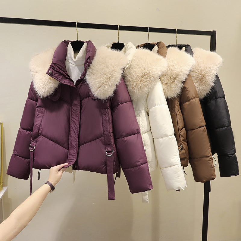Damen nan kurzer gesteppter Puffer mit voluminösem Webpelzkragen und Taillenriemen EB
